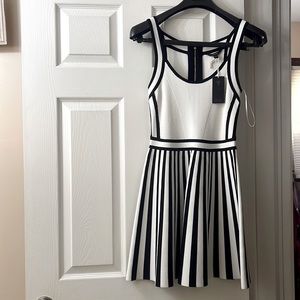 Medium size black and white